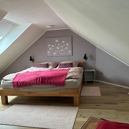 Komfortferienwohnung Harzglueck Auf 2 Etagen Hohegeiß Extérieur photo