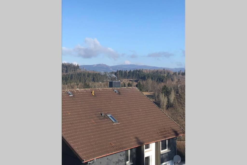Komfortferienwohnung Harzglueck Auf 2 Etagen Hohegeiß Extérieur photo